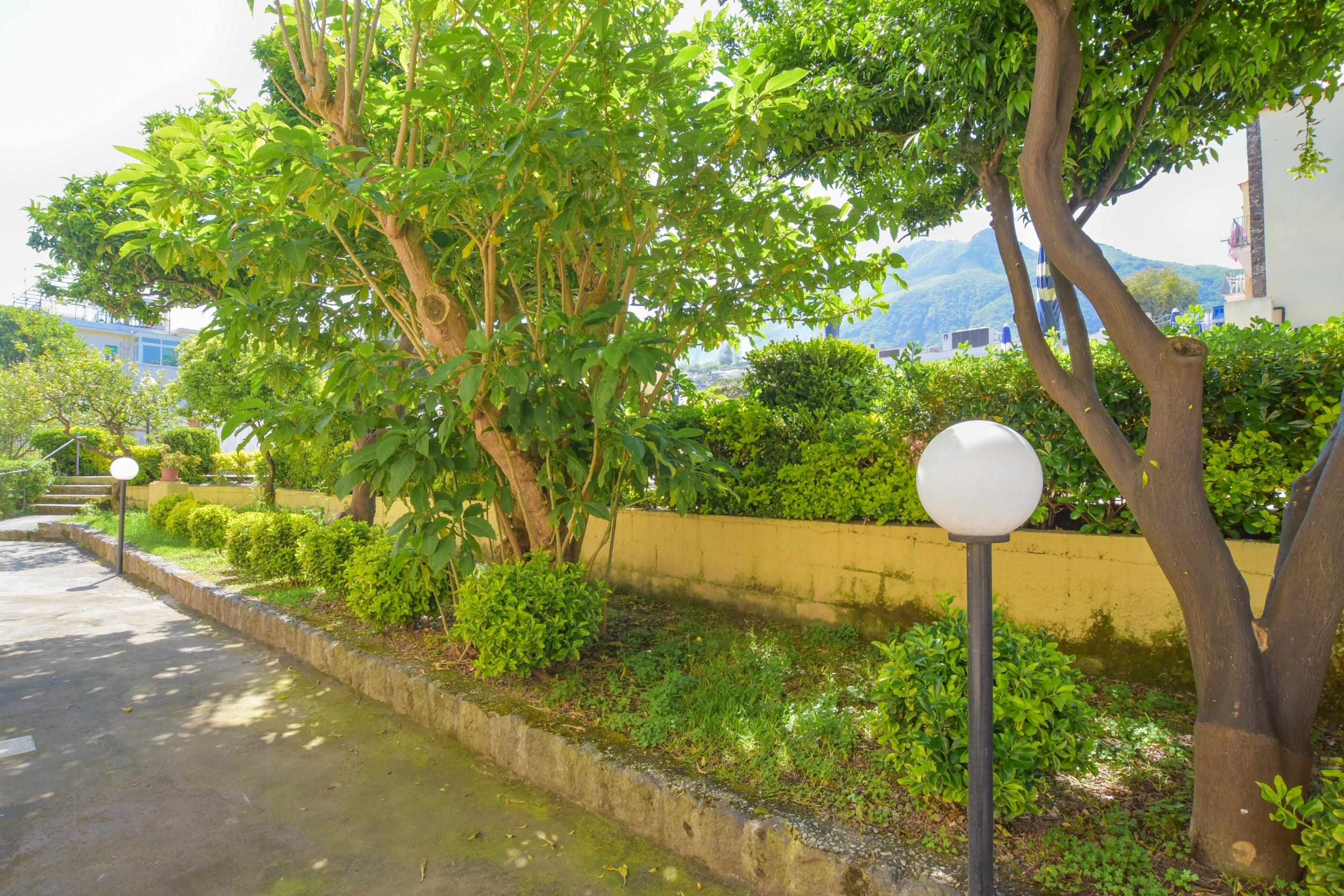 Hotel Terme Principe Lacco Ameno  ภายนอก รูปภาพ